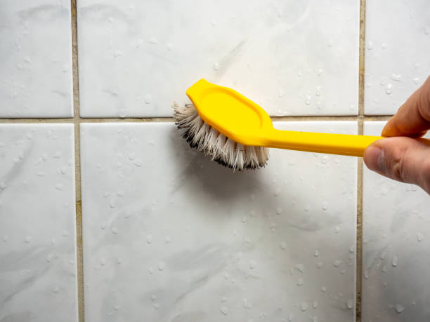Best Water Damage Restoration  in Lavalette, WV