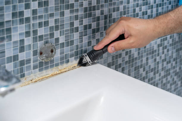 Certified Mold Removal in Lavalette, WV