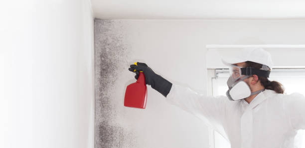 Best Crawl Space Mold Removal  in Lavalette, WV